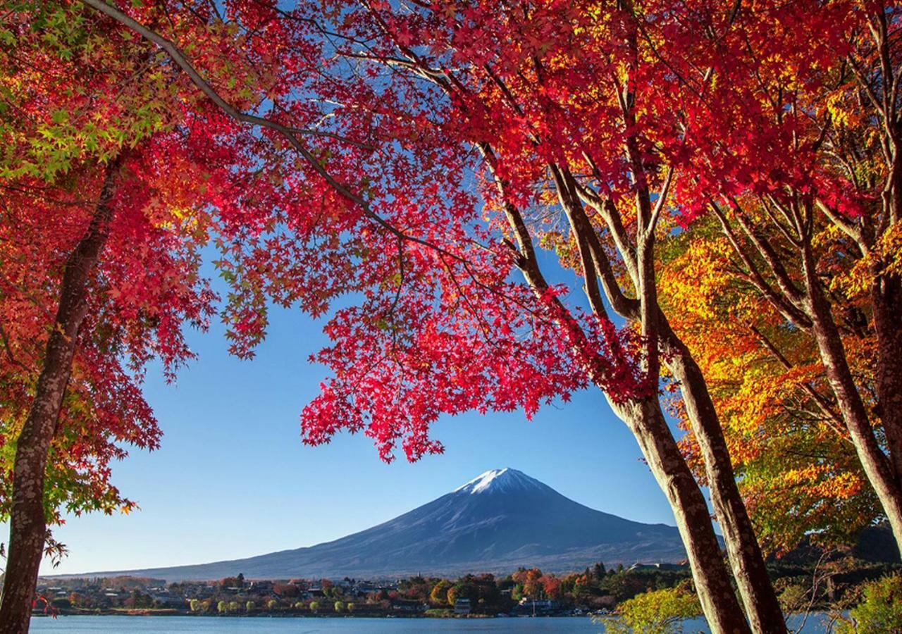 富士山金魚 Fujisan Kingyo Villa Fujikawaguchiko Dış mekan fotoğraf